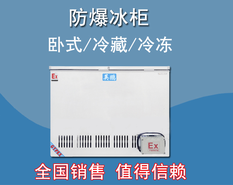 英鵬防爆臥式冰箱，存放油漆防爆冰箱BL-200