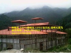 廣西百色PVC瓦，東莞東城樹(shù)脂瓦，塑料瓦廠家