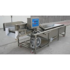 油菜氣泡清洗機(jī)，小白菜氣泡清洗機(jī)