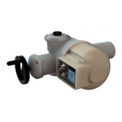 BERNARD CONTROLS 多回轉電動執(zhí)行器AT系列