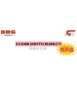 L1-CAM (CD171) 腫瘤標志物 L1-CAM 是卵巢癌和子宮內膜癌發(fā)展進程的一個標志物